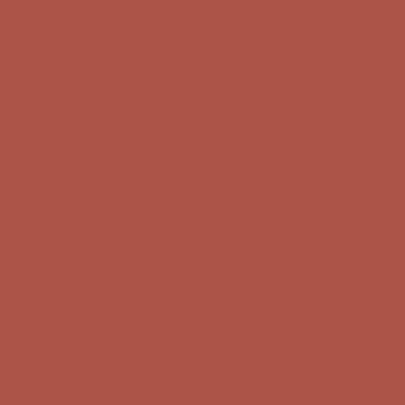 2089-10 Iron Ore Red